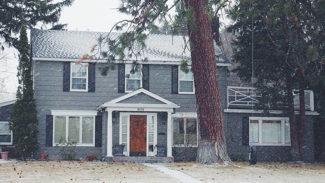 House with trees in front yard and snowing